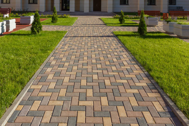 Best Professional Driveway Pavers  in Minot Af, ND